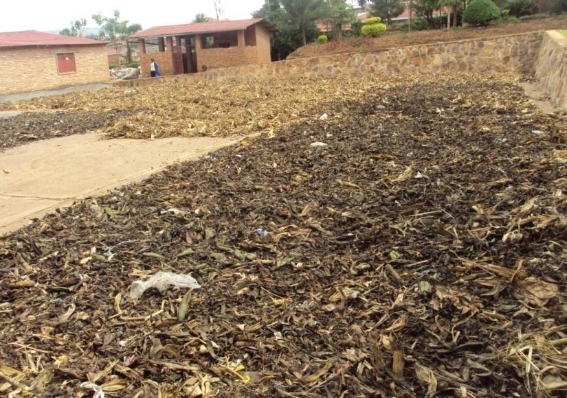 Composting and the production of briquettes have