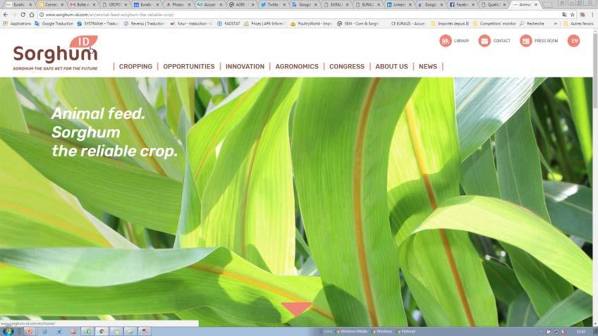 with all actors of the European chain accepted (End users to innovation) Multi-language technical support (sorghum grain &