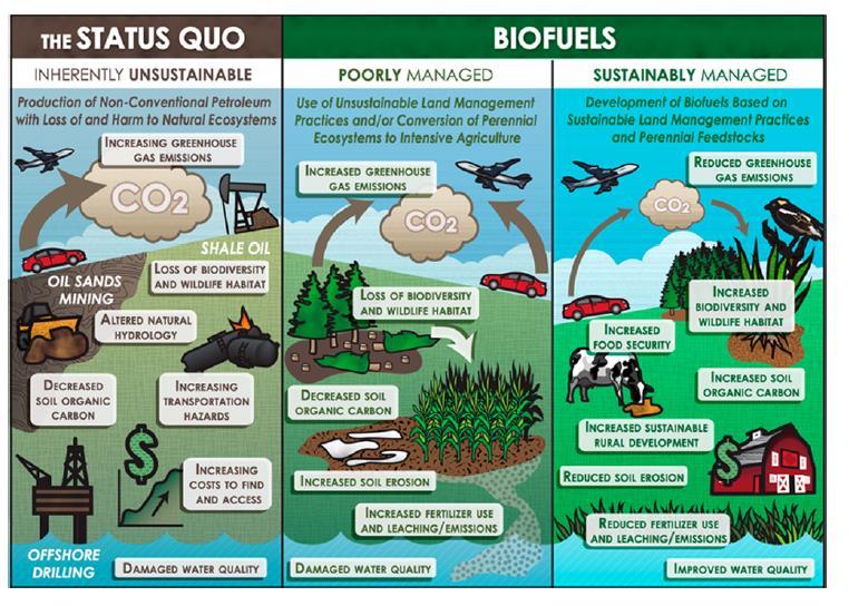 Biofuels Need to be Done Sustainably B. Dale et al.