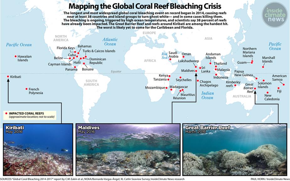 Coral Reefs- found within tropical zone and contains large
