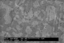 (a) 12 µm / sec (b) 6 µm / sec 600 R.T. 50 o C o C 150 o C (c) 1.2 µm / sec (d) 0.6 µm / sec Fig. 14. SEM images of coined solders at various coining rates at room temperature.