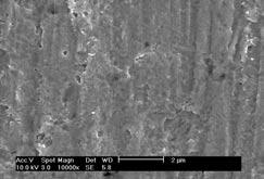 SEM images of coined solder at various coining process temperatures at the coining rate of 12 µm/sec.