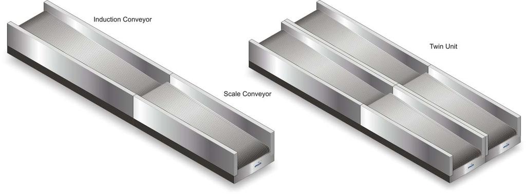 Passenger Check In Conveyors Double Check In Conveyor Picture Cost Space