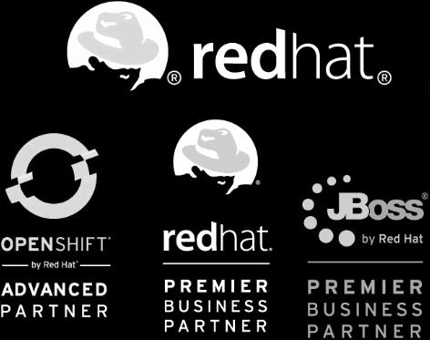 Year Red Hat Partner Premier Red Hat