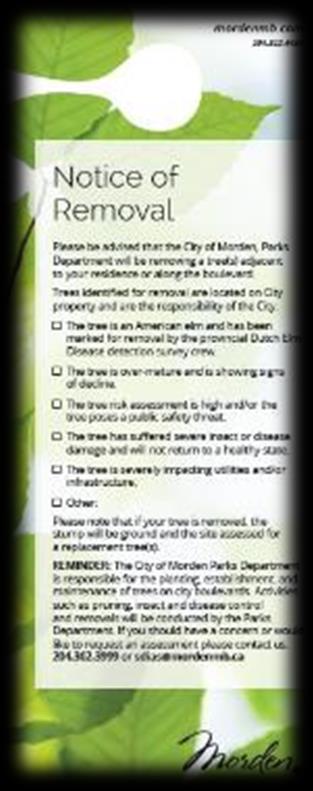 The Guidelines for Tree Care pamphlet provides information on how to maintain newly planted trees, as well as provides some information on what can and cannot be done to municipal (boulevard) trees