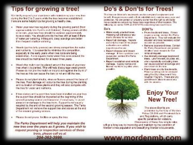 Tree Staking is used to warn the resident that the tree associated with their property has one of the listed issues related to the stakes used to support their newly planted tree.