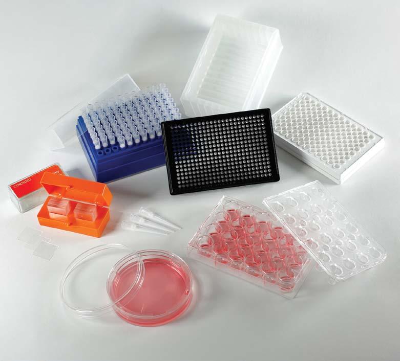 Harvest Corning offers a wide selection of pipets, centrifuge tubes, cell scrapers and reagents to make cell harvesting easier.