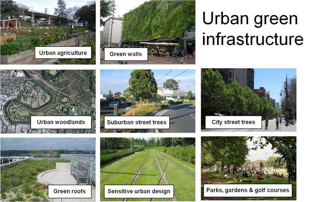 Green Infrastructure Uses vegetation, soils, and other elements and practices to filter pollutants from stormwater runoff before it is discharged into