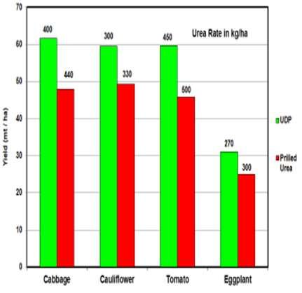 Gross Margins for Selected Vegetables Using Deep Placement Technology Crop