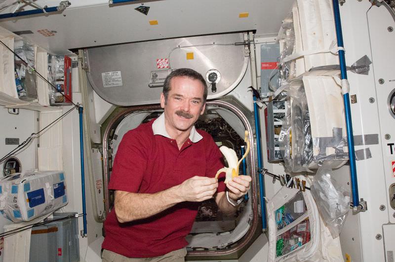 www.ck12.org FIGURE 1.1 Astronaut Chris Hadfield eats a banana aboard the International Space Station. What Happens During Cellular Respiration?