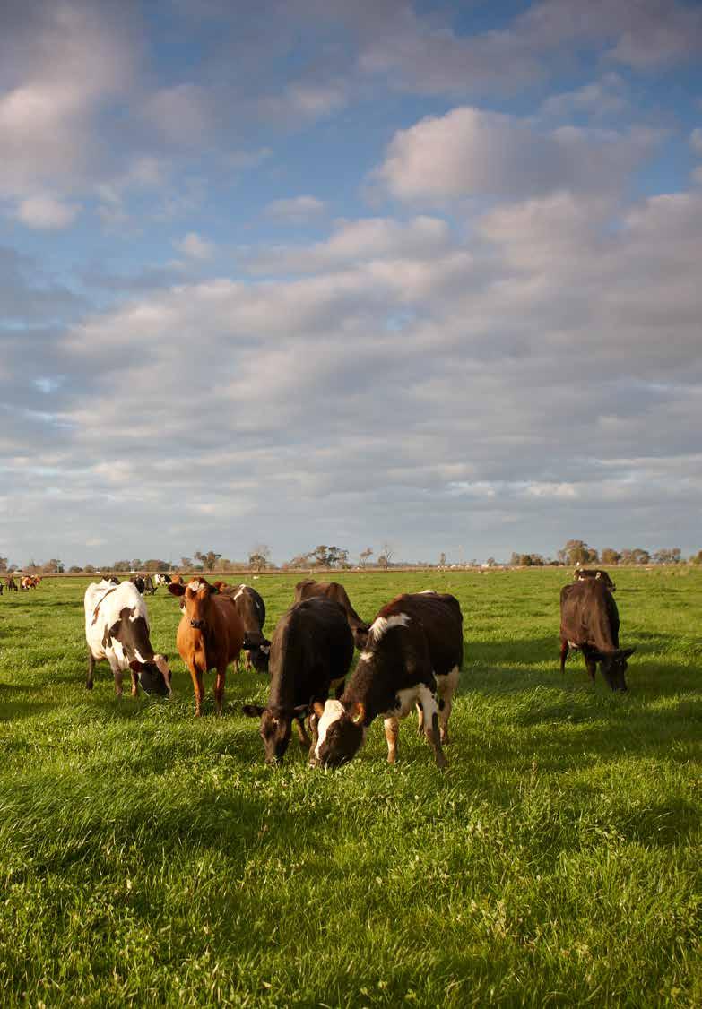 Greenhouse gas emissions Dairy Farm Monitor