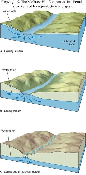 Springs and Streams Spring - a place where water flows naturally from rock or sediment onto the ground surface Gaining streams - receive water from the saturated zone Gaining stream surface is local