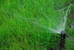 Reduce run times to prevent runoff if needed. 2. Repair leaks in the irrigation system as soon as they are reported. 3.