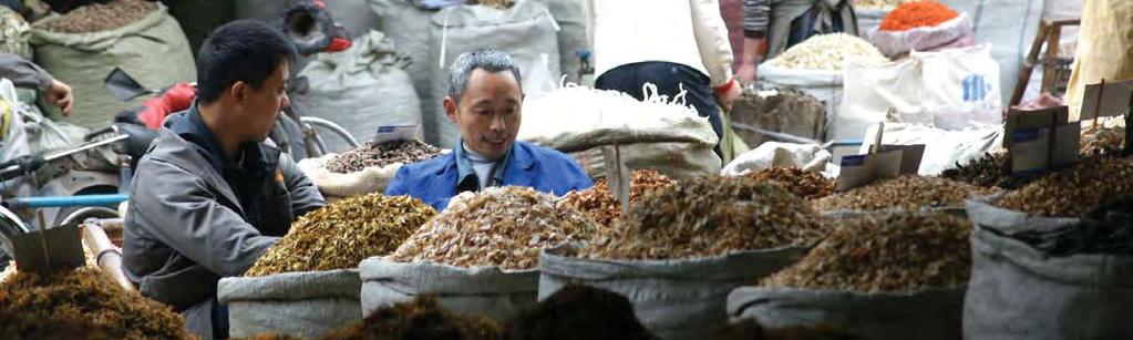 8 Traditional medicines trade, Hehuachi market, Sichuan, China UNDERSTANDING HIDDEN ECONOMIES In the developing countries that hold most of the world s biodiversity, most trade in wild animals, fish