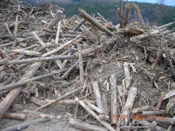 2.5 Contaminants Contaminants are easily introduced into residues in the pile preparation and secondary harvesting phases, although with proper care these contaminants can be reduced or avoided. 2.5.1 Inorganics Inorganics are usually the most common contaminant in logging residues.