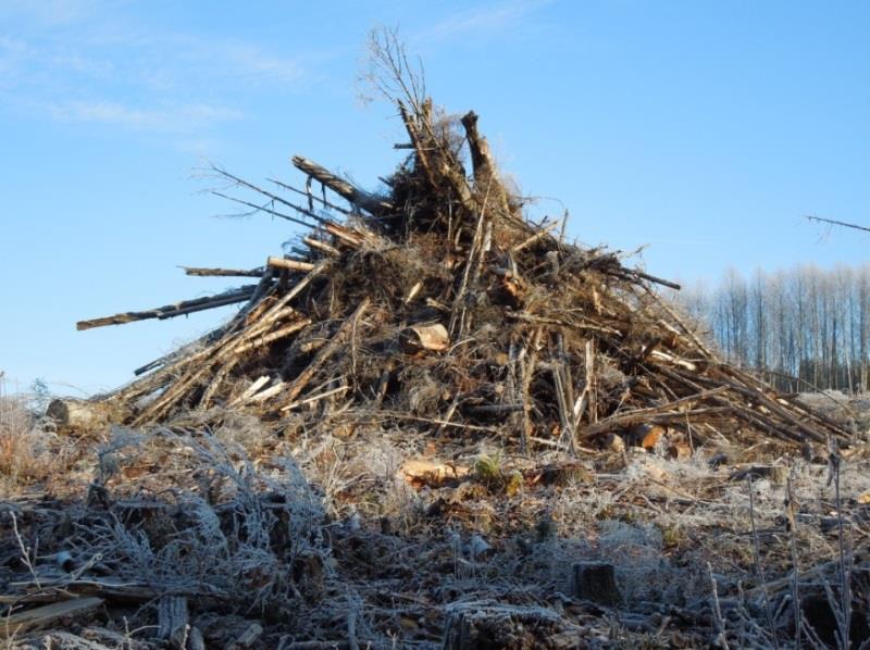 Tops and long butts can generally be used for most secondary uses including hog fuel, chips, pellet stock, and firewood. Branches and needles can usually only be utilized in hog fuel, if at all. 2.