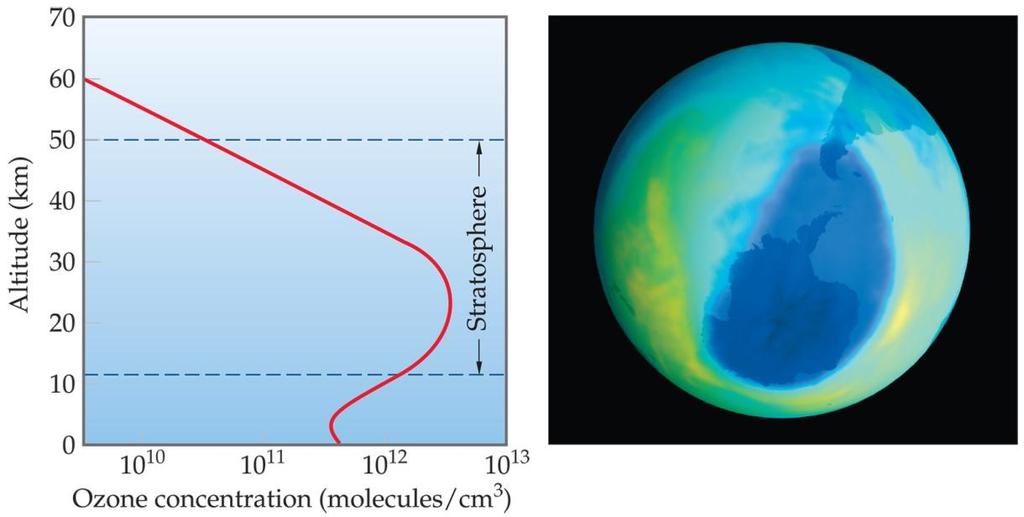 The dark area represents the area of lowest O 3 concentration - The Hole centered over Antarctica The C-Cl bond is