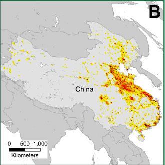 Predicted new urbanization In China, urban expansion is forecasted to create a 1,800-km coastal