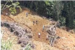 Deforestation is largely due to commercial and subsistence agricultural activities and cultural shifting