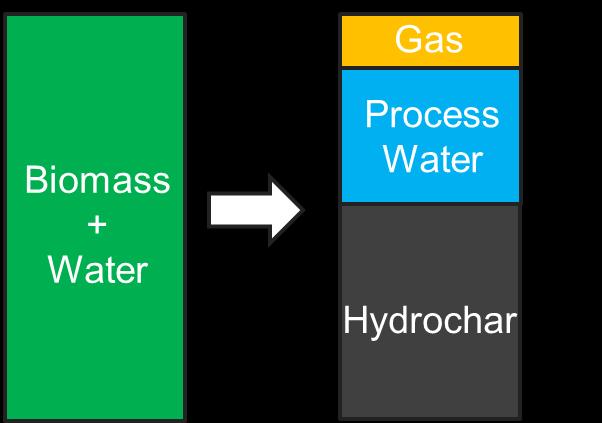 Hydrothermal processing Hydrothermal