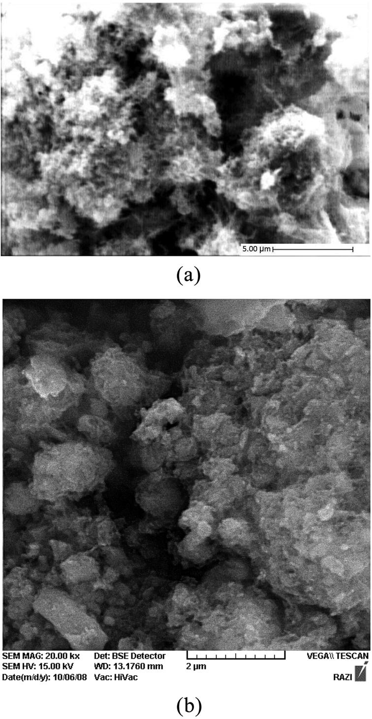 Investigation of hydrothermal synthesis of wollastonite using silica and nano silica at different pressures 351 Fig. 3. SEM images of hydrothermally treated sample at a pressure of 7 atm (H8S7).