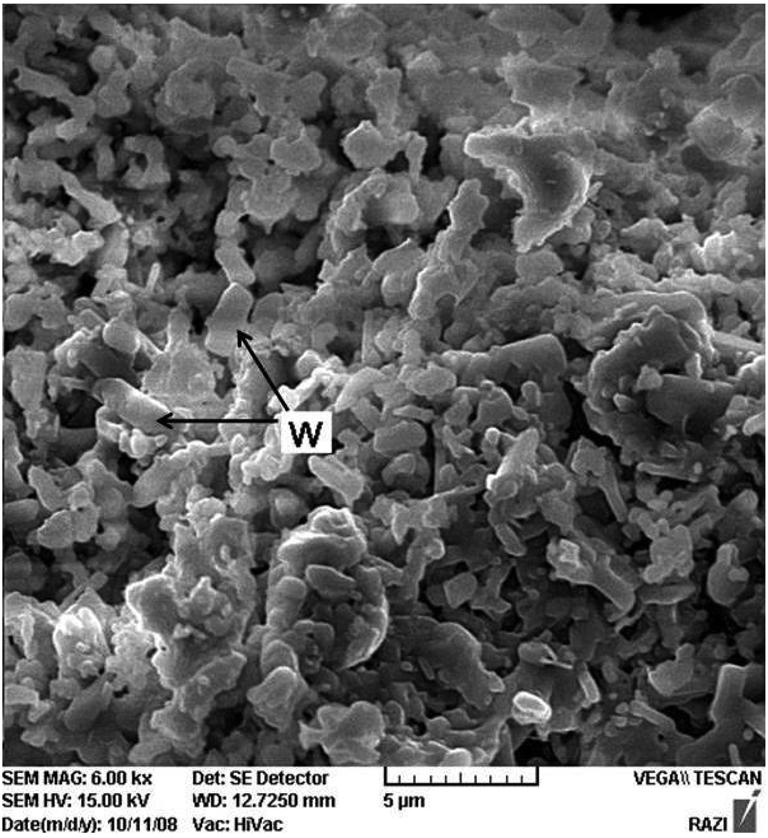 Investigation of hydrothermal synthesis of wollastonite using silica and nano silica at different pressures 353 An SEM image of a sample, prepared from nano silica with a SiO2/CaO molar ratio of 0.