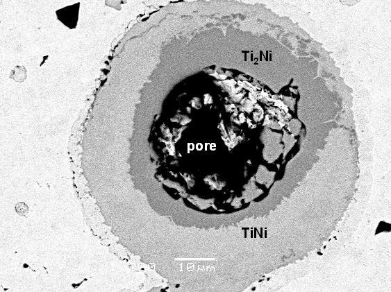 Figure 4-36: SEM backscatter image of a β-ti core that has melted Since the combustion reaction is initiated by melting at the β-ti/ti 2 Ni interface, and the entire β-ti core attains a uniform