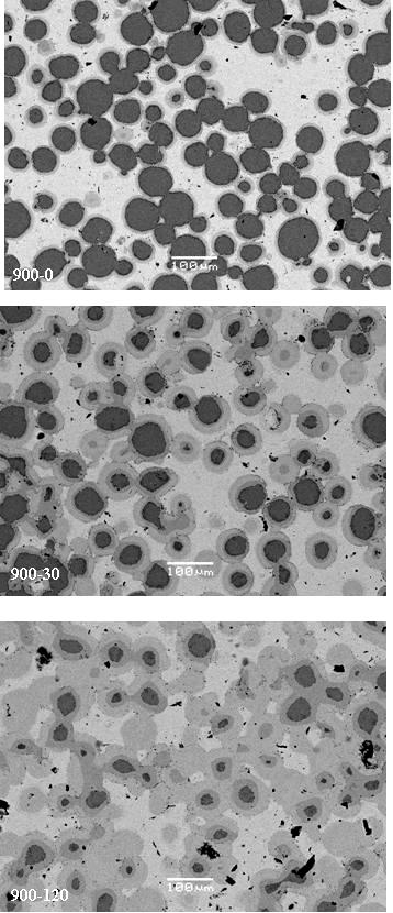 Figure 3-16: SEM backscatter images of TiNi samples