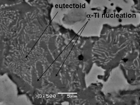Figure 4-18: SEM backscatter image of a sample heated to 950 o C and cooled, showing α-ti nucleation As shown in the DSC results of Figure 3-11, eutectoid decomposition reaction is observed for