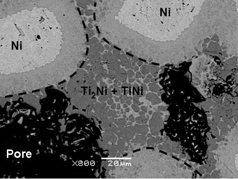 Figure 4-20: High magnification SEM backscatter image of a coarse Ni sample heated to 1020 o C and cooled This Ni dissolution will enrich the liquid phase, raising its bulk composition such that it