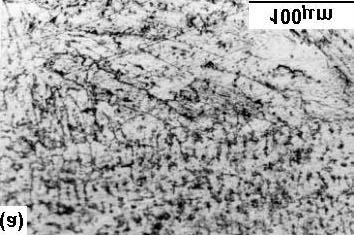 10 Fig. 6: In-situ metallography microstructure of: (a) 316L weld metal and (b) weld/base metal interface after PWHT of a repair weld in a cracked turbine shroud Fig.