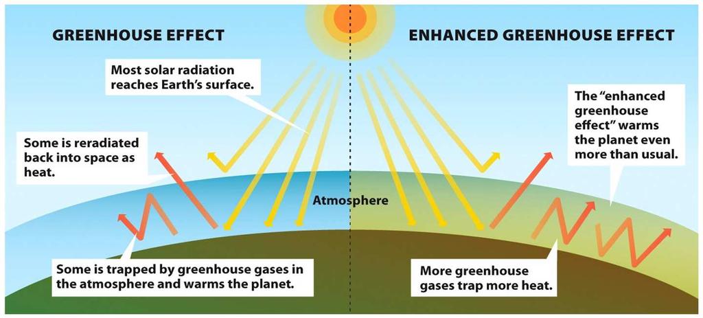 TERMS TO KNOW: Greenhouse gases Greenhouse effect Radiative forcer Albedo Positive feedback loops Greenhouse gases