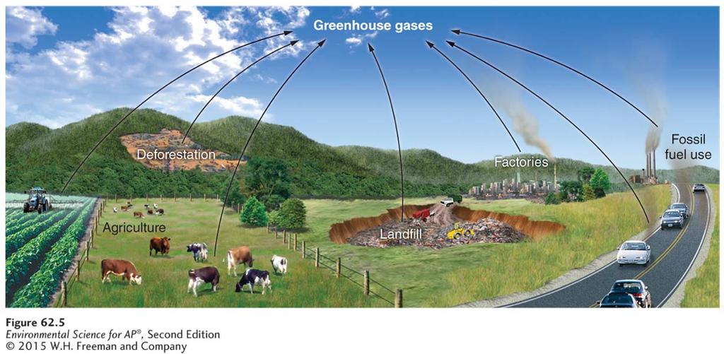 Anthropogenic sources of greenhouse gases. Human activities are a major contributor of greenhouse gases including CO2, methane, and nitrous oxide.