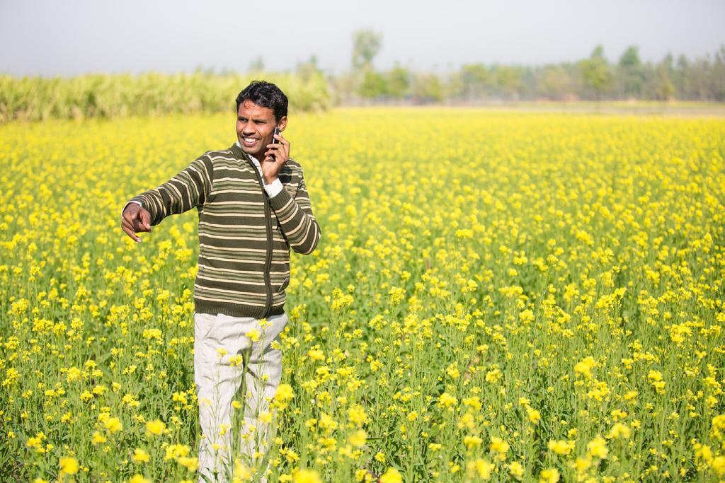 mkisan also helps Jaipal learn about new seeds that are coming onto the market. There is a new kind of wheat called PBW-502, he says, citing one example.