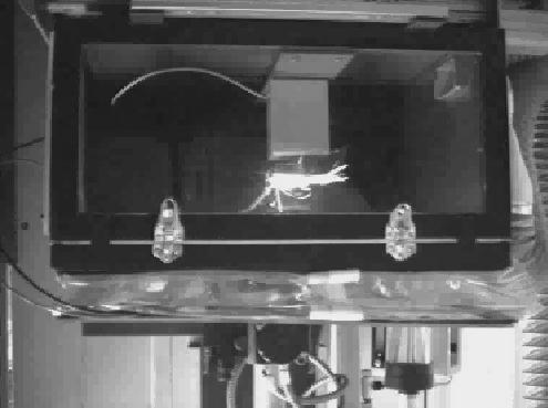 Experimental setup for the blown powder process: Processing head with the focusing optics and forming of the powder flow (left).