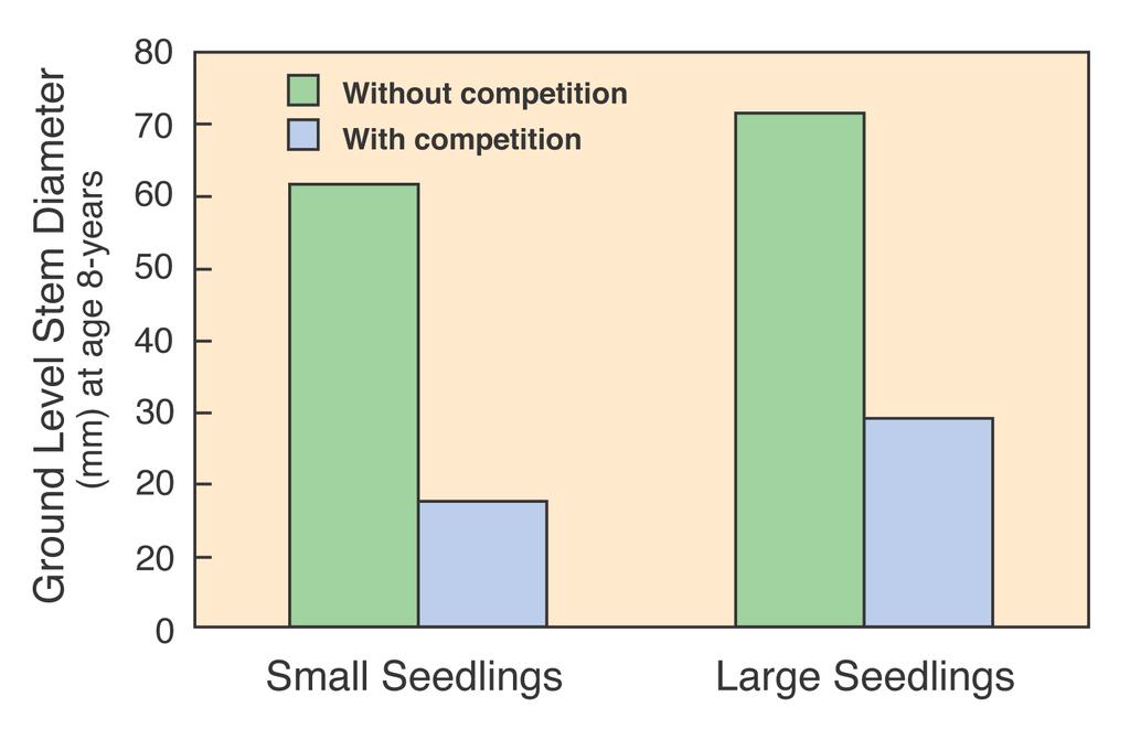 Seedling stocktype can be used to overcome limiting factors N= no