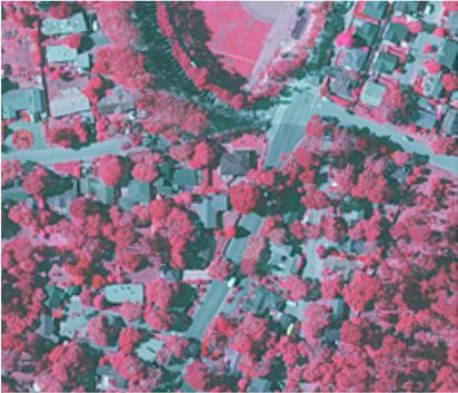 Tree Canopy Health Canopy health was determined using near infrared imagery and NDVI transformation (Figure 6 and Appendix C).