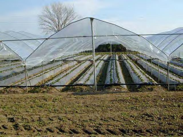 evaporation Reduction in the use of pesticides Reduction of product