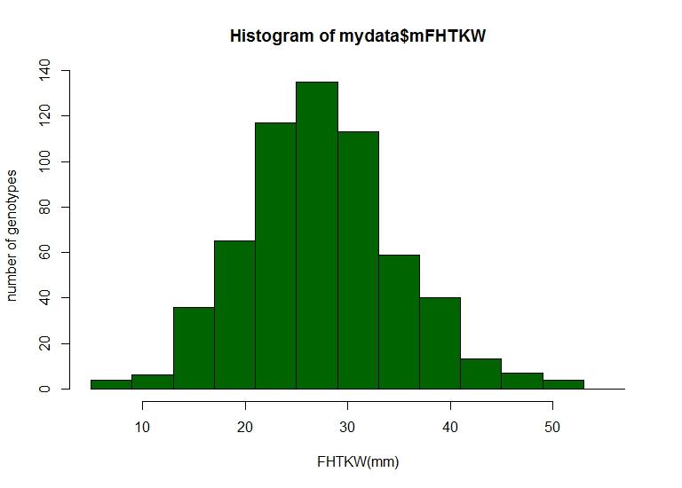 Phenotypic distribution of full head TKW Thousand kernel weight (g) Diversity panel 10+ fold of
