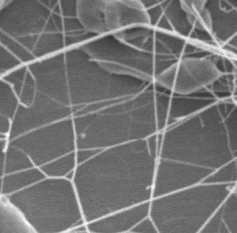 Because electrospinning is essentially using an electrical field to overcome the surface tension of a solution, the trend seen with increasing surface tensions is correlated to that trend seen in