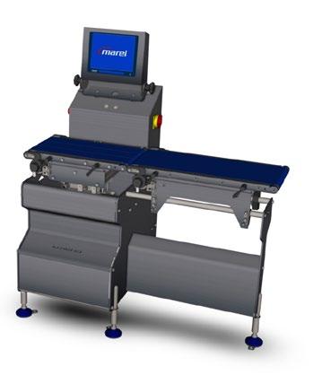 Weigh table and console with infeed conveyor and single reject A choice of single flipper or pusher