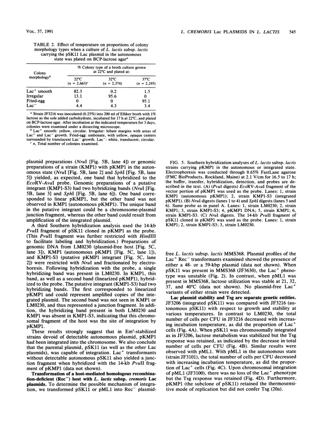 VOL. VOL. 57, 57, 1991~~~~~~~~L. CREMORIS Lac PLASMIDS IN L. LACTIS 545 TABLE 2.
