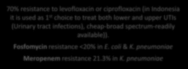 resistance to levofloxacin or ciprofloxacin (in Indonesia it is used as 1 st choice to treat both lower and upper UTIs