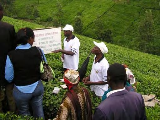 KTDA TEA IMPACT STUDY *LEI WAGENINGEN UNIVERSITY BY YUCA WAARTS, 2012 350+ farmers from 4 Kenyan tea factories within KTDA between July 2010 to February 2012 Impact assessment of: i.