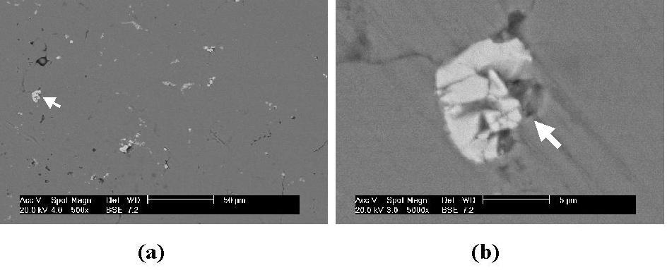Fig. 8. Scanning electron micrographs of the dispersion TaC in the metallic of stainless steel: (a) Magnification 500x e (b) Magnification 5000x.