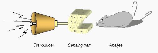 Electrochemical Sensors Gold