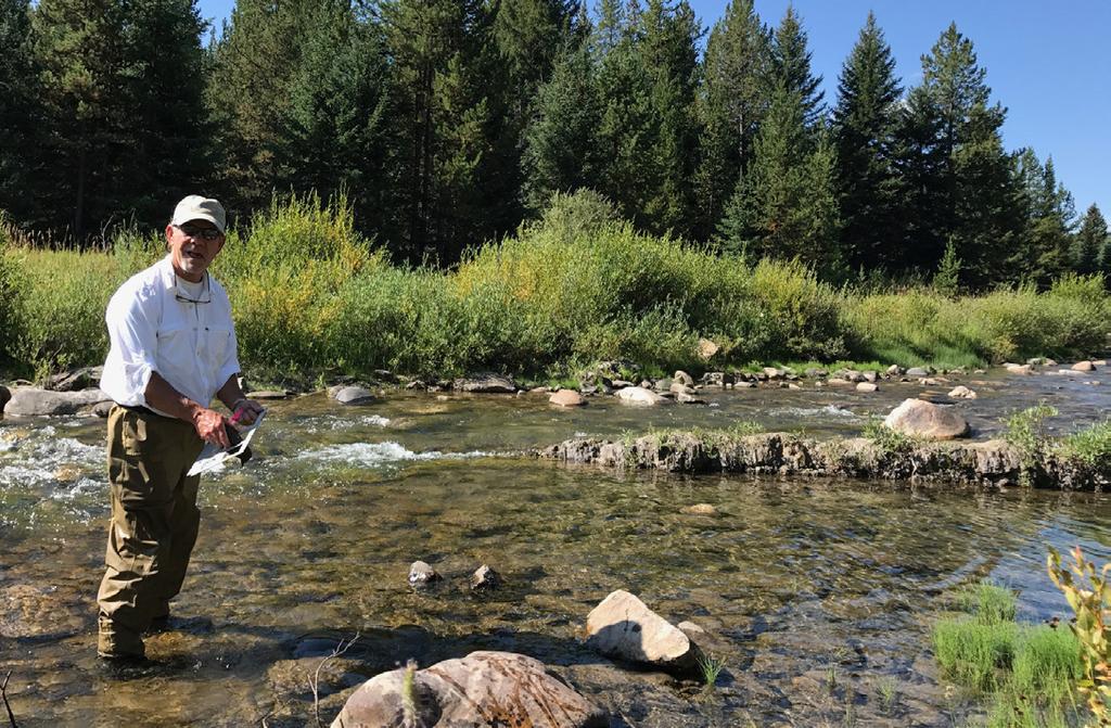 Aquatic Insects In 217, aquatic insects were collected at the following four sites along the Gallatin mainstem: Moose Creek Flat Recreational area, Baetis Alley, Deer Creek, and Doe Creek access