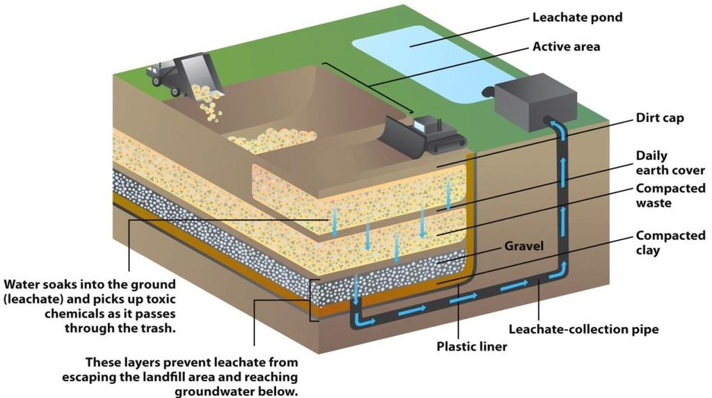 Sanitary landfills are dug out and lined to prevent groundwater contamination from leachate.