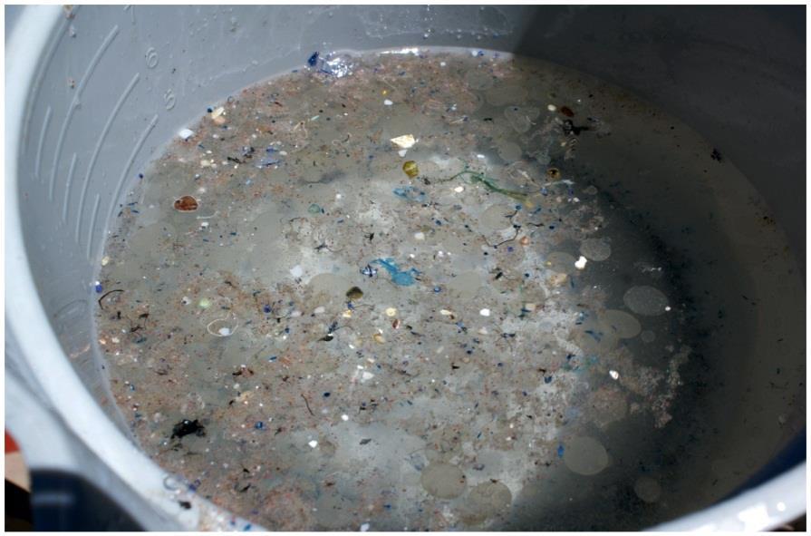How big is the Atlantic Garbage Patch and is it growing? Five major gyres in the oceans.