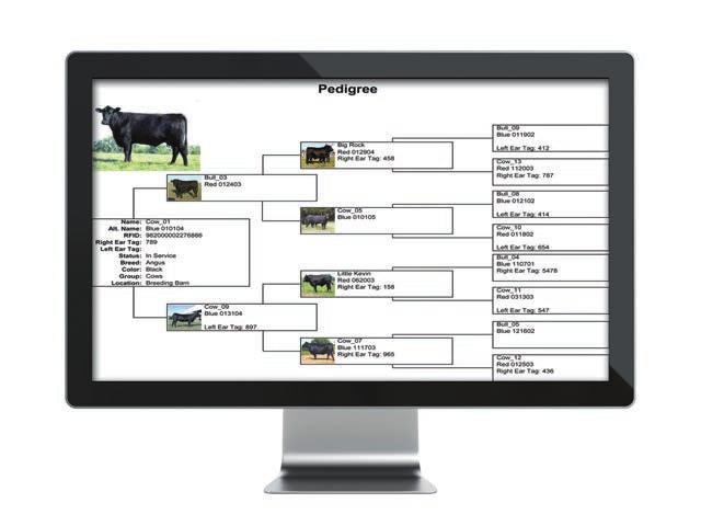 Associate an unlimited number of digital images with each animal. Compatible with most scales for importing weight information. Enter important vaccination records for each animal and print reports.
